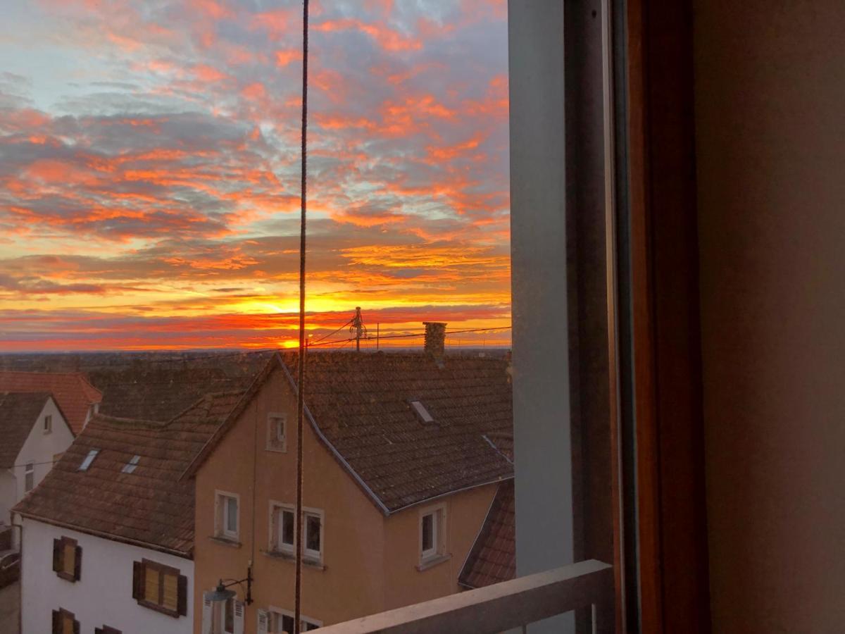 Gaestehaus Susanne Pfaffmann Landau in der Pfalz Exteriör bild