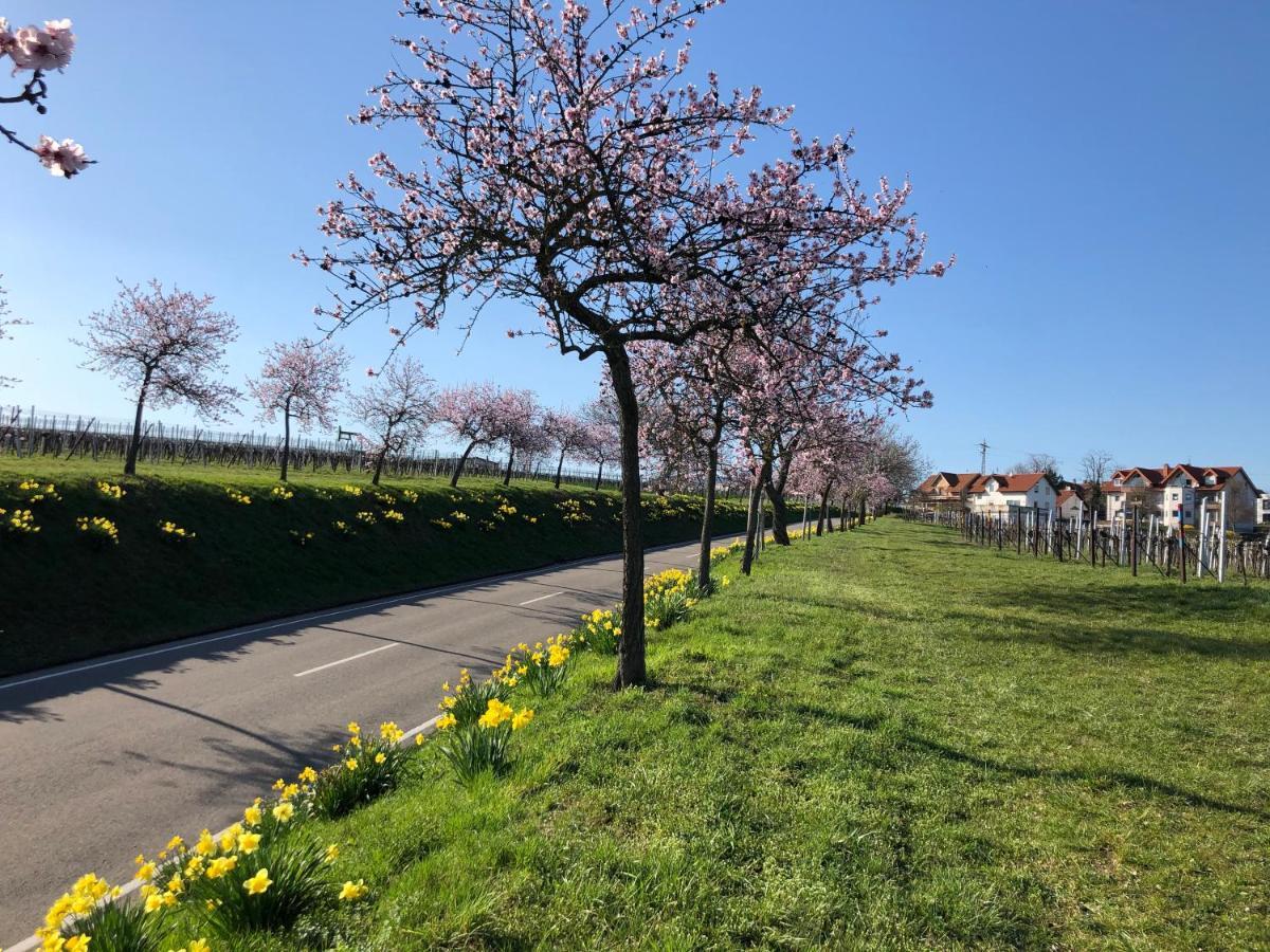Gaestehaus Susanne Pfaffmann Landau in der Pfalz Exteriör bild